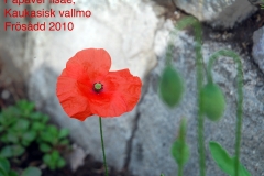 1280090984